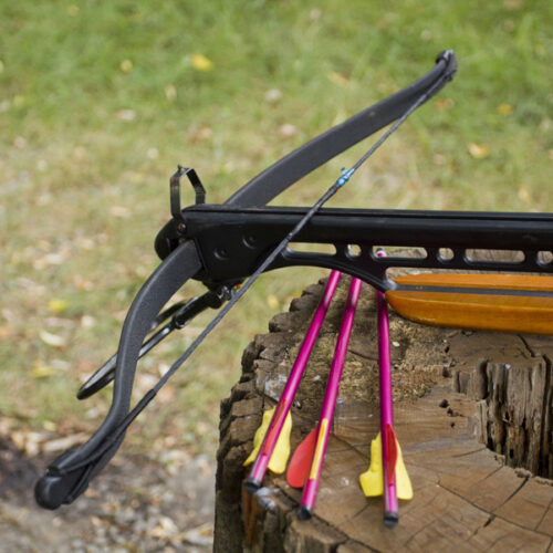 Experience Crossbows