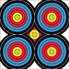 DuraMesh Archery Target Sight In 24 in. x 24 in.